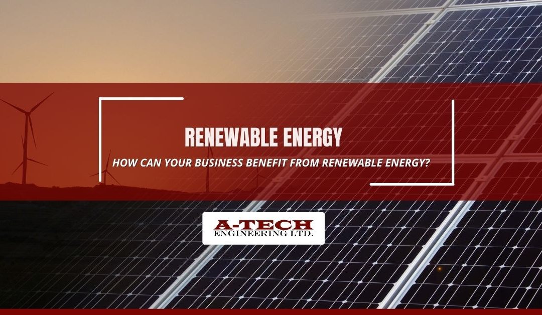 Renewable Energy – Why Choose It for Your Business?